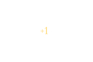 main_copy002