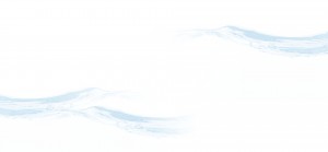 top_bg001